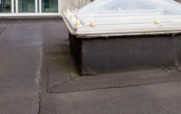 disadvantages of Bun Abhainn Eadarra flat roofs