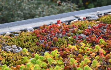 the cost of Bun Abhainn Eadarra green roof installation
