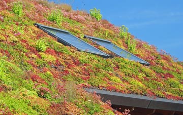 Bun Abhainn Eadarra living roof systems